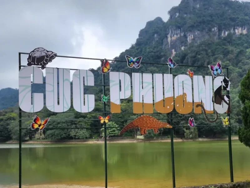 Discover Vietnam’s Oldest National Park A Journey to Cuc Phuong