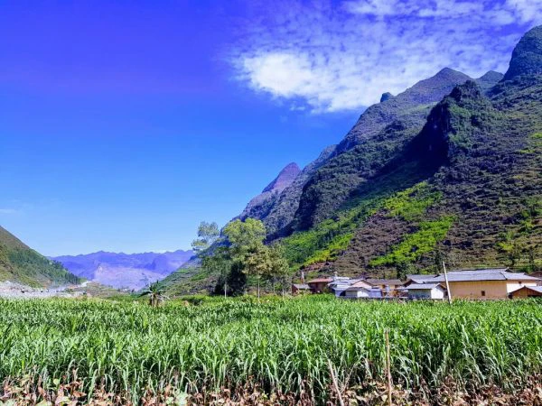 Bucket list trip the Ha Giang Loop
